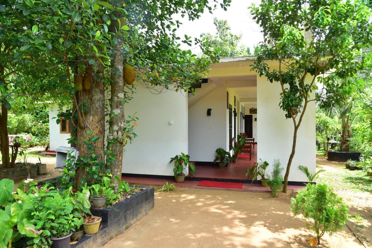 Smashing Inn Dambulla Extérieur photo